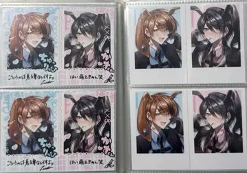 카스리히 네프 리셋