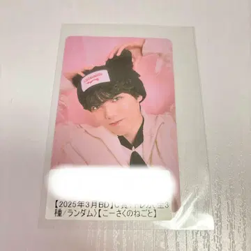 코이즈미 코사 겐지부 트레이딩 카드