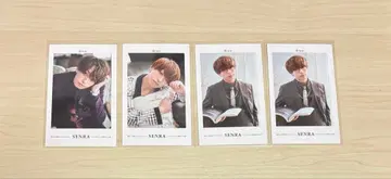 센라 미니 포토 카드 묶음 판매