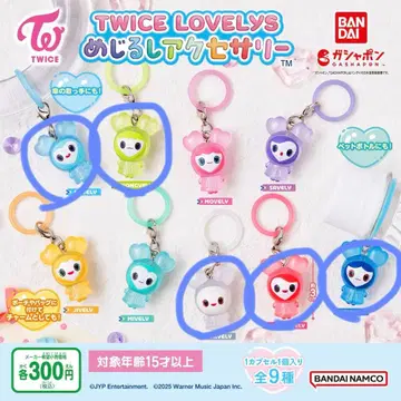 TWICE LOVELY 메지루시 액세서리 5개 세트