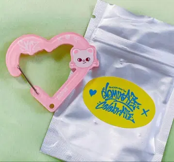 진니렛 카라비너 스트레이 키즈 celebrATE 스키즈 팝업 한국