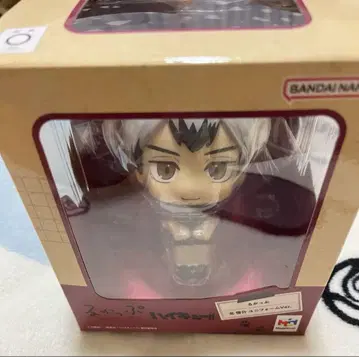 키타 신스케 룩업