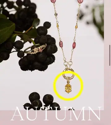 agete 아가트 사계절 가을 K10 토파즈 목걸이 참