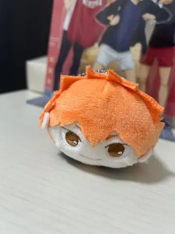 하이큐 히나타 세트