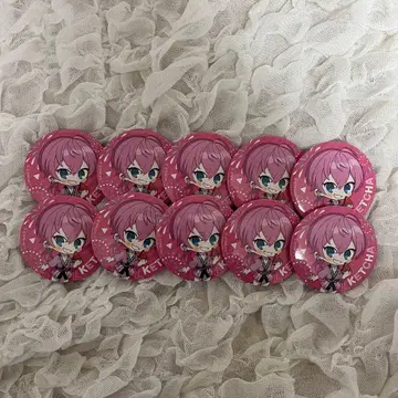 AMPTAK 케차 캔뱃지 하피 기본