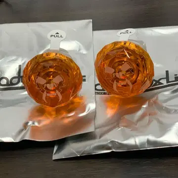 파라라이 이토 사츠키 린라이 돕쇼 2024