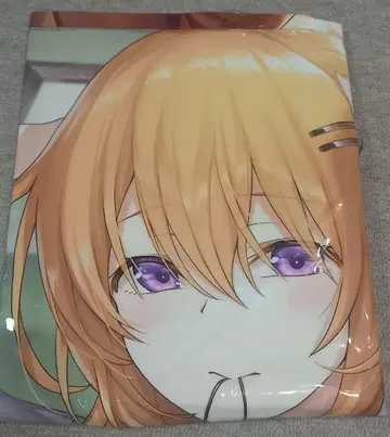 호토 코코아 주사위 비치볼 60cm 공기 비닐