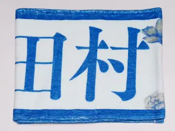 다무라 마유 머플러 타월 사이토 아스카 졸업 콘서트