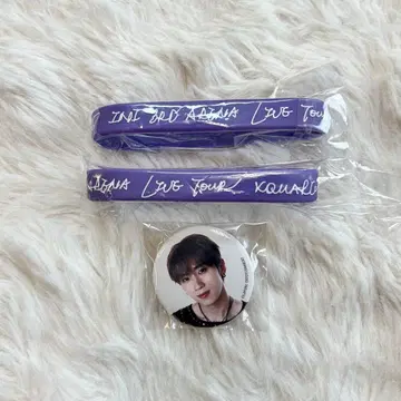 INI 캡슐 토이 페 팬