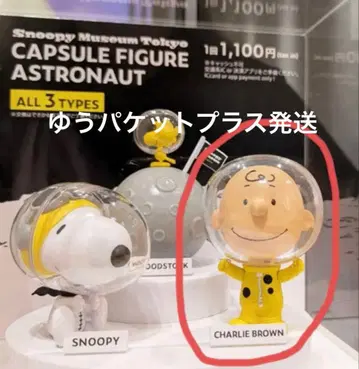 스누피 뮤지엄 가챠가챠 찰리 브라운 미개봉