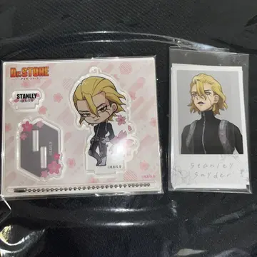 Dr.STONE 아크릴 스탠드 꽃놀이 벚꽃 에테르노레시 스탠리 사진