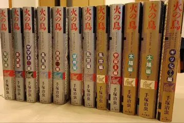 불새 전 12권 세트 테즈카 오사무