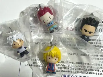 HUNTER x HUNTER 메지루시 액세서리 세미 컴프