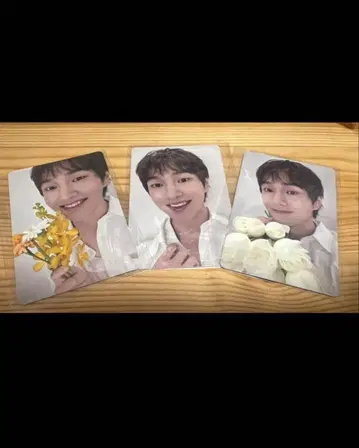 ONEW 온유 SAKU 초회 한정판 포토 카드 트레이딩 카드 3장 세트