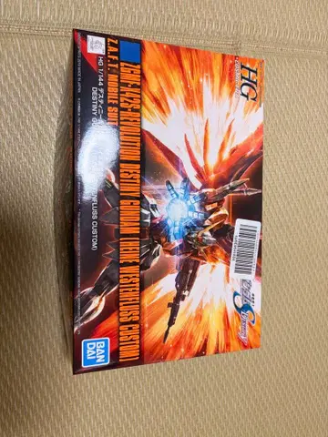 HG 1/144 데스티니 건담 하이네기