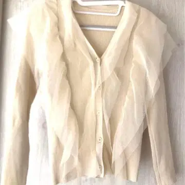 벌스데이 바쉬 프릴 상의