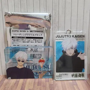 주술회전 고죠 사토루 아크릴 빅 택 아크릴 블록