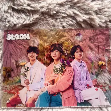 8LOOM 야마시타 코우키 NOA 모리 슈토 DVD 특전 아크릴 보드