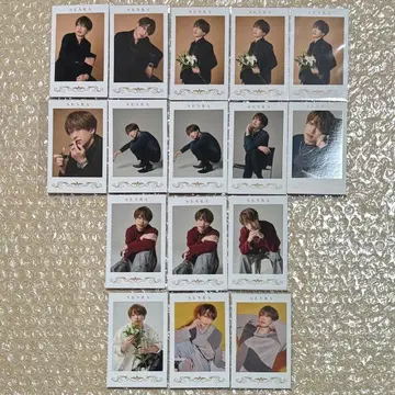 우라시마사카타센 센라 2024 MARCEL 폴라로이드풍 카드 세트