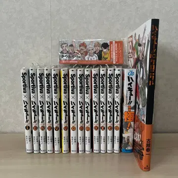 소설판 하이큐 소설 전권 세트+팬북 2권