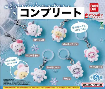 산리오 메지루시 액세서리 가챠 컴플리트