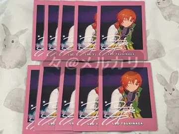 앙스타 레오 파샤츠