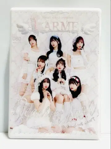 후르츠 지퍼 060호 랜덤 지퍼 액세서리 라르므 페스티벌'25