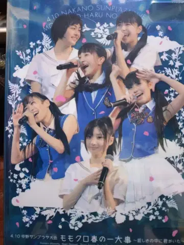 모모이로 클로버 봄의 일대사건 2011 DVD