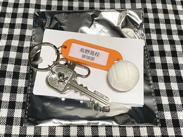 하이큐!! 트레이딩 고교명 포함 열쇠 참 키링 카라스노 고교