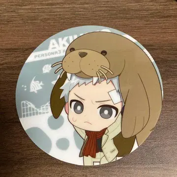 페르소나 3 로드 사나다 아키히코 핫케이지마 파라다이스 코스터