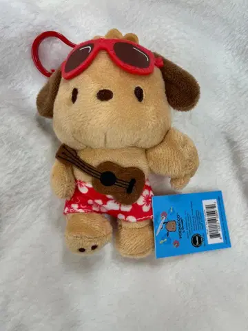 하와이 한정판 ABC 일광화상 포차코 Hawaii