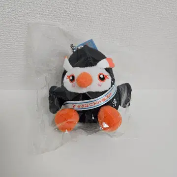 희귀 레어 북방영토 리카짱 봉제 인형 마스코트 키링 참