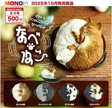 냄비 고양이 컴플리트