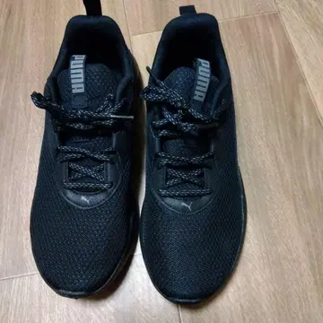 푸마 SOFTFOAM 25cm