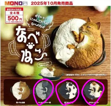 냄비 고양이 3종