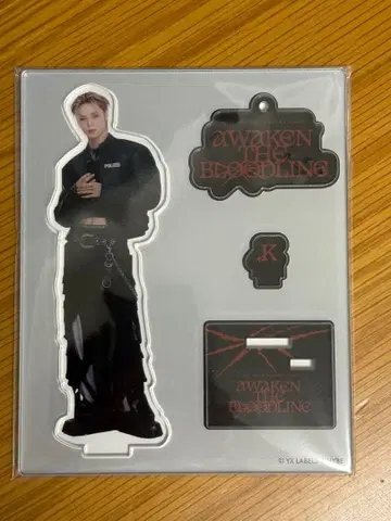 &TEAM K 케이 AWAKEN THE BLOODLINE 투어