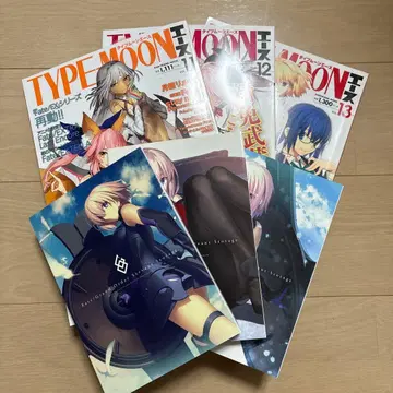 타입문 에이스 11, 12, 13