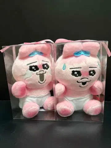 빤쮸토끼 선물 BOX 봉제 인형 2종 세트