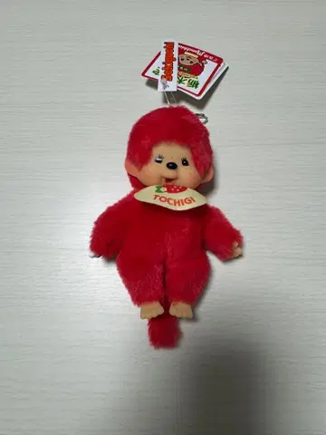 도치기 한정판 몬치치 지역 딸기