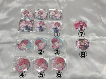 스토푸리 사토미군 캔뱃지 14개