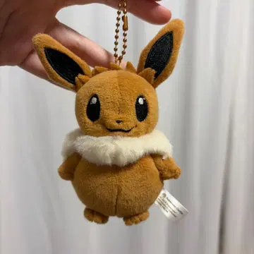 포켓몬 복슬복슬 이브이 마스코트