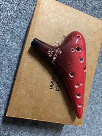 오오사와 오카리나i 시리즈 SF 관