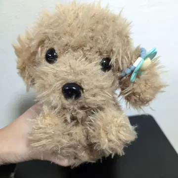 코코돌 푸들 음성 인식 반려동물 개 봉제 인형 말하는