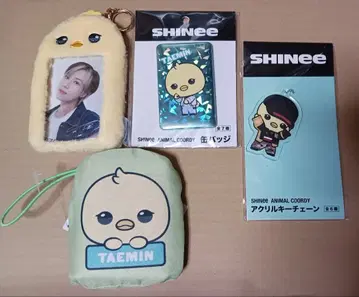 SHINee 샤이니 태민 카드 케이스 에코백 키체인 캔뱃지