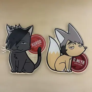 하이큐 쿠로오 미야 오사무 코스터