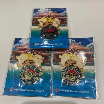 포켓몬 핀즈 오키나와 한정판 포켓몬 센터 오키나와 윈디 피카츄
