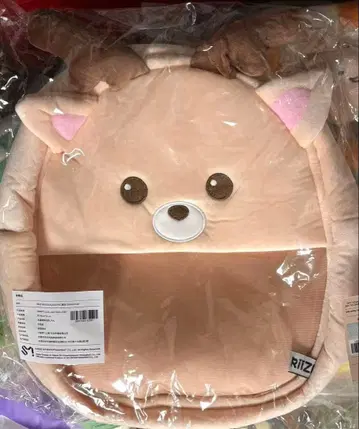 RIIZE 성찬 중국 한정판 백