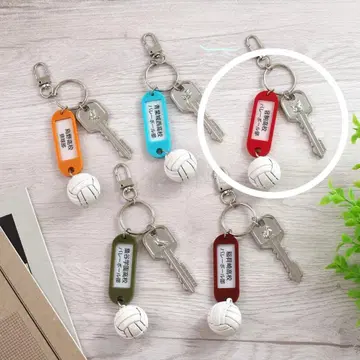 하이큐!! 트레이딩 고교명 부착 열쇠 참 키링 네코마 고교