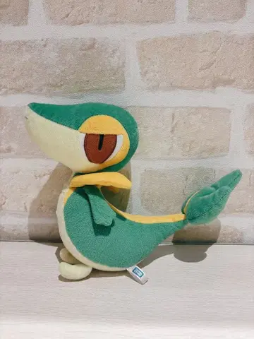 포켓몬스터 포켓몬 베스트위시 봉제 인형 두르보 N-02