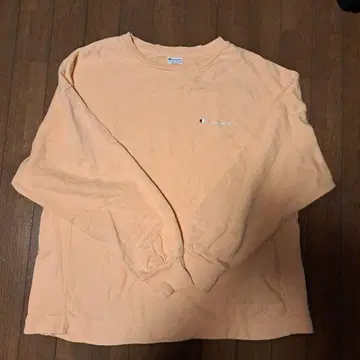 Champion Reverse Weave M 사이즈 ROSEBAD 콜라보